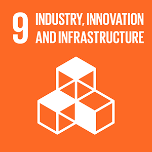 Global goal 9 industry, innovation and infrastructure