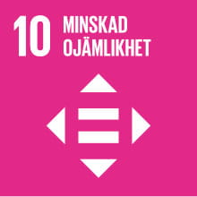 Hållbarhetsmål 10