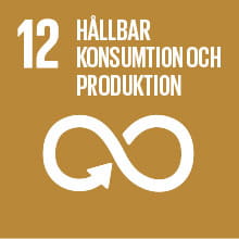 Hållbarhetsmål 12