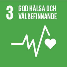Hållbarhetsmål 3