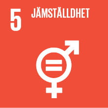 Hållbarhetsmål 5