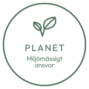 Hållbarhet planet ikon
