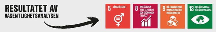 vasentlighetsanalys globala mal
