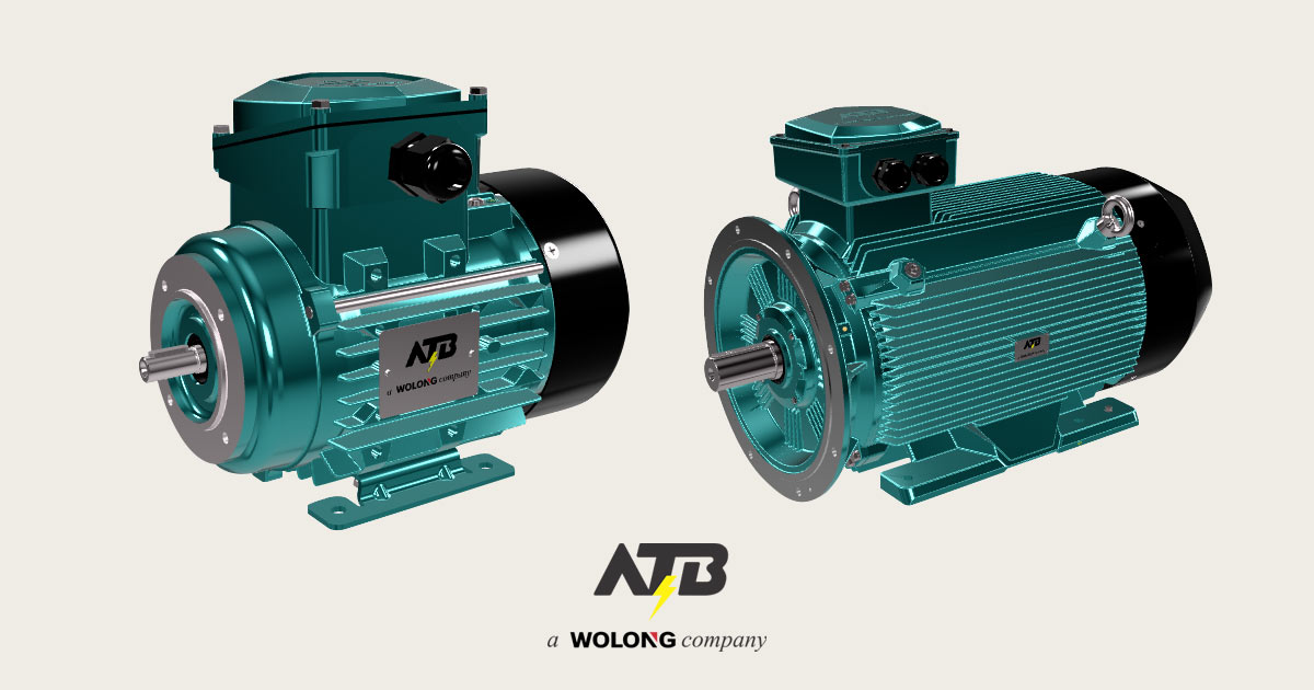 WE3 och WE4 flexibel standardmotor