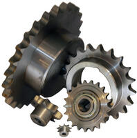 Kedjehjul OEM Motor