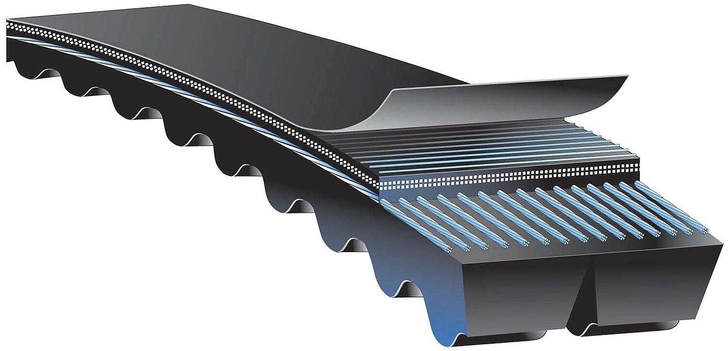 quad power 4 kraftband