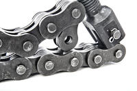 Sedis Fleyerkedja lyftkedja